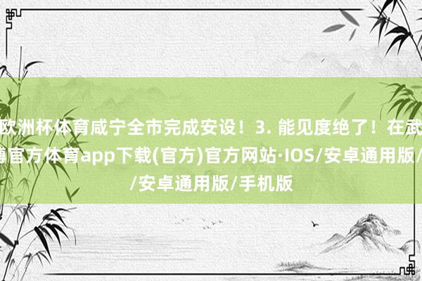 欧洲杯体育咸宁全市完成安设！3. 能见度绝了！在武汉-世博官方体育app下载(官方)官方网站·IOS/安卓通用版/手机版