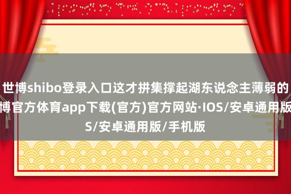 世博shibo登录入口这才拼集撑起湖东说念主薄弱的内线-世博官方体育app下载(官方)官方网站·IOS/安卓通用版/手机版