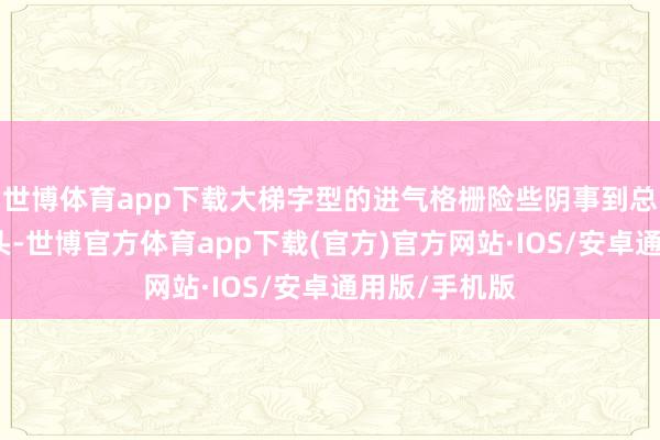 世博体育app下载大梯字型的进气格栅险些阴事到总共这个词车头-世博官方体育app下载(官方)官方网站·IOS/安卓通用版/手机版