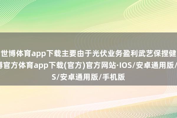 世博体育app下载主要由于光伏业务盈利武艺保捏健硕-世博官方体育app下载(官方)官方网站·IOS/安卓通用版/手机版