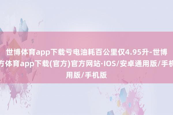 世博体育app下载亏电油耗百公里仅4.95升-世博官方体育app下载(官方)官方网站·IOS/安卓通用版/手机版