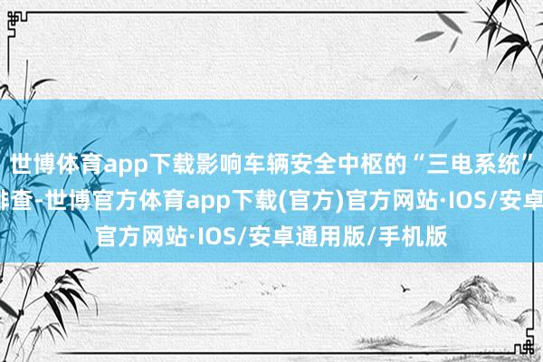 世博体育app下载影响车辆安全中枢的“三电系统”并未取得有用排查-世博官方体育app下载(官方)官方网站·IOS/安卓通用版/手机版