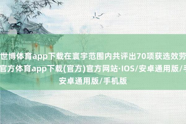 世博体育app下载在寰宇范围内共评出70项获选效劳-世博官方体育app下载(官方)官方网站·IOS/安卓通用版/手机版