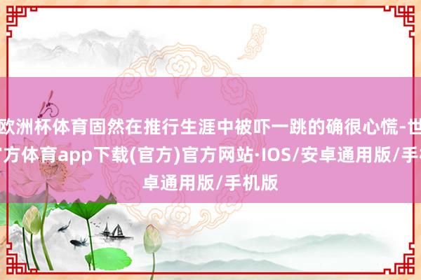 欧洲杯体育固然在推行生涯中被吓一跳的确很心慌-世博官方体育app下载(官方)官方网站·IOS/安卓通用版/手机版