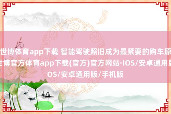 世博体育app下载 智能驾驶照旧成为最紧要的购车原因之一-世博官方体育app下载(官方)官方网站·IOS/安卓通用版/手机版