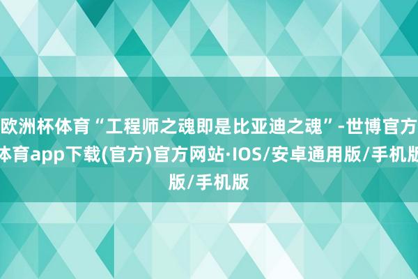 欧洲杯体育“工程师之魂即是比亚迪之魂”-世博官方体育app下载(官方)官方网站·IOS/安卓通用版/手机版