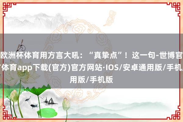 欧洲杯体育用方言大吼：“真挚点”！这一句-世博官方体育app下载(官方)官方网站·IOS/安卓通用版/手机版