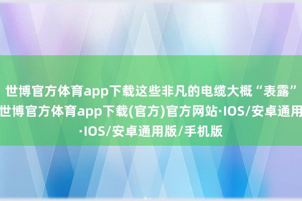 世博官方体育app下载这些非凡的电缆大概“表露”电磁信号-世博官方体育app下载(官方)官方网站·IOS/安卓通用版/手机版