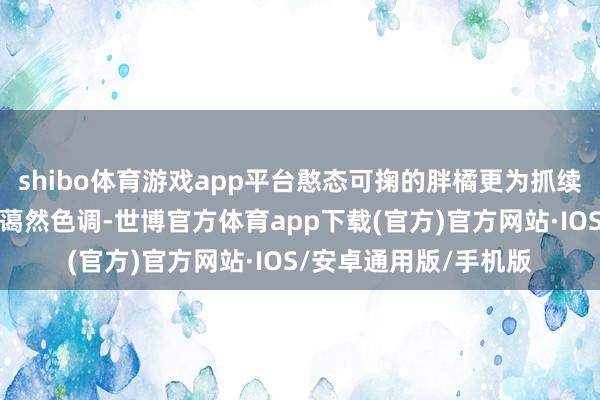 shibo体育游戏app平台憨态可掬的胖橘更为抓续降温的魔皆带来一抹蔼然色调-世博官方体育app下载(官方)官方网站·IOS/安卓通用版/手机版