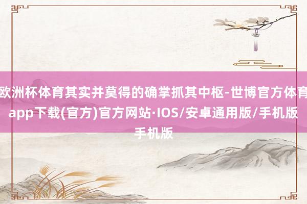 欧洲杯体育其实并莫得的确掌抓其中枢-世博官方体育app下载(官方)官方网站·IOS/安卓通用版/手机版